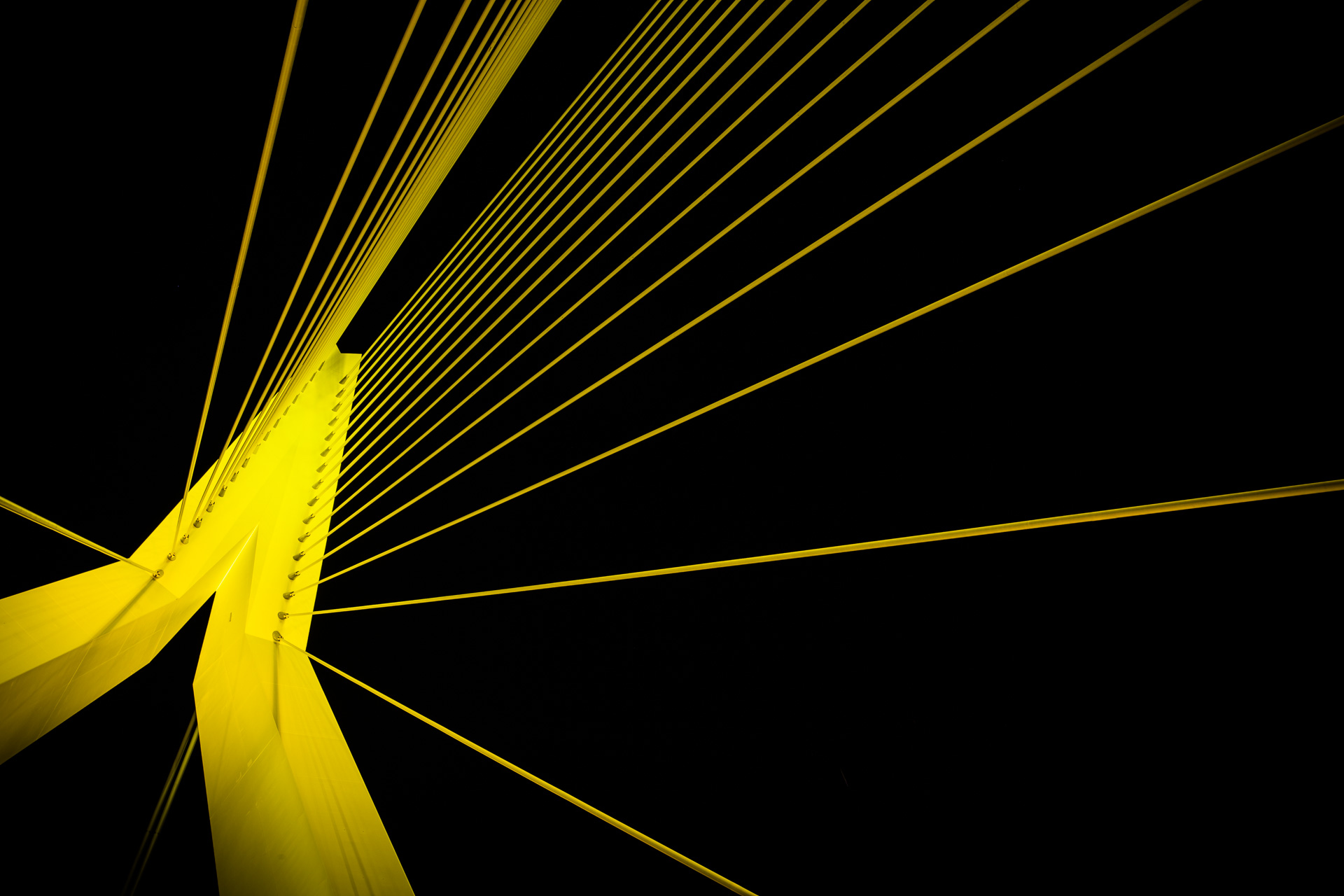 Erasmusbrug tijdens Grand Départ Tour de France, 2010