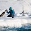 Sarah Gerats en Nemo, Spitsbergen